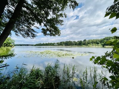 Ordnungsamt kontrolliert verstärkt im Bereich des Falkenhagener Sees