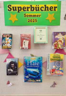 Die Superbücher des Sommers 2025. (Bild vergrößern)
