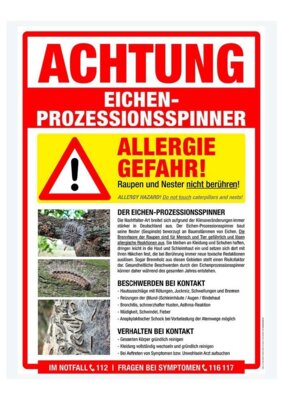 Eichenprozessionsspinner