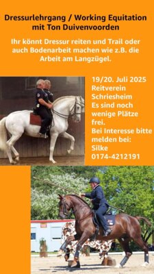 Dressur- & Working Equitation Lehrgang bei Ton Duivenvoorden (Bild vergrößern)