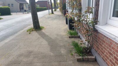 Foto zur Meldung: Für ein schönes und sicheres Ortsbild: Die Straßenreinigungspflicht