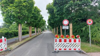 Wird ab 1. Juli saniert: Die Strecke von und nach Nieblum (Foto: AmtFA Andreas Hansen)