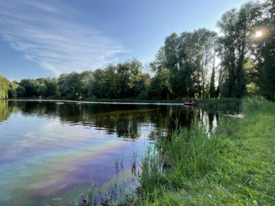 Öl auf dem Rohrteich