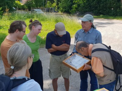 Exkursion "Insekten in Oberweimar" (Bild vergrößern)