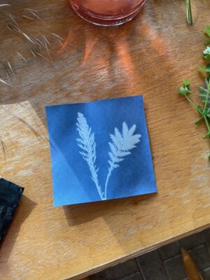 Stammtisch mit Sunprints