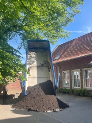 "Es grünt so grün in Gelmer" (Bild vergr&ouml;&szlig;ern)