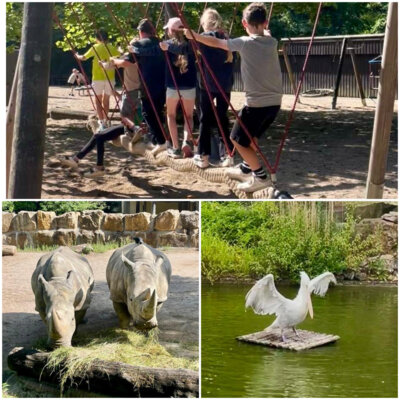 Zoobesuch Mattiburg&Krachmacher (Bild vergr&ouml;&szlig;ern)