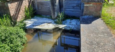Am Wehr Wallhausen sind noch Reste des Bindemittels der Ölsperre zu sehen