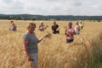 Meldung: Erntekronenzeit in Lindenau