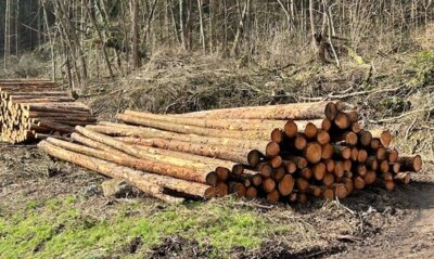 Brennholz (Bild vergrößern)