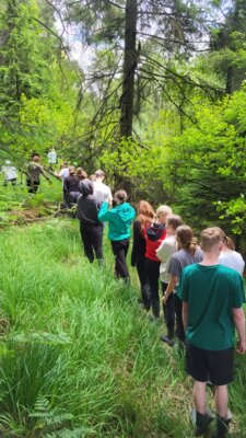 Nachhaltigkeitswoche 2025: Exkursion der Biologielaboranten in den Hatzbacher Forst und das Moorgebiet bei Hatzbach (Bild vergrößern)