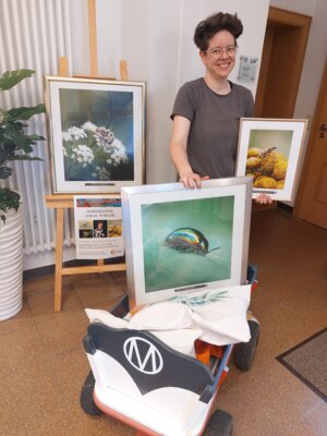 Sarah Porsche kam zum Aufhängen ihrer Bilder mit einem Bollerwagen ins Rathaus (Bild vergrößern)