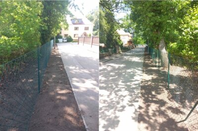 Neuer Zaun am Volkspark errichtet: Mehr Sicherheit und ein gepflegtes Erscheinungsbild (Bild vergrößern)