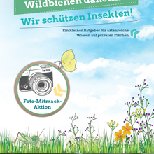 Wir schützen Insekten (Bild vergr&ouml;&szlig;ern)