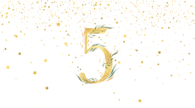 5 Jahre Steigerwaldpfoten!