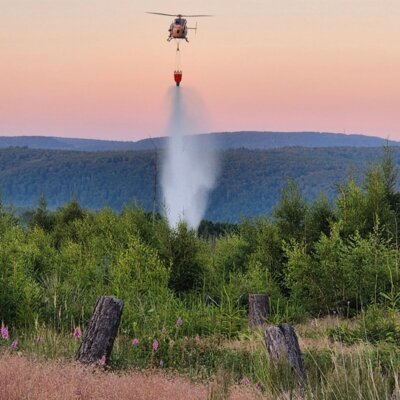 Waldbrand im Reinhardswald (Bild vergrößern)