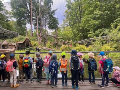Kinderhaus "Zur Schatzinsel" zu Besuch bei Löwen, Erdmännchen und Waschbär Kinderhaus "Zur Schatzinsel" zu Besuch bei Löwen, Erdmännchen und Waschbär (Bild vergrößern)