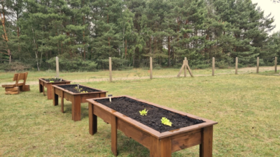 Unser Grünes Klassenzimmer wächst mit vereinter Kraft und grünem Daumen (Bild vergrößern)