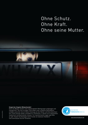 Ohne Schutz, ohne Kraft ohne Mutter (Bild vergr&ouml;&szlig;ern)