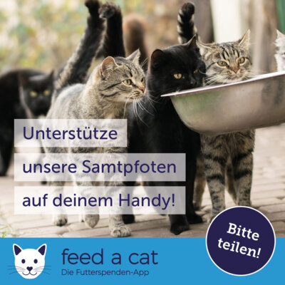 Futterspenden (Bild vergr&ouml;&szlig;ern)