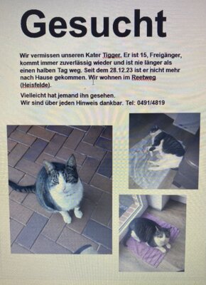 GESUCHT! (Bild vergr&ouml;&szlig;ern)