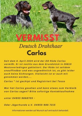 Carlos wird von seiner Familie schmerzlich vermisst! (Bild vergr&ouml;&szlig;ern)