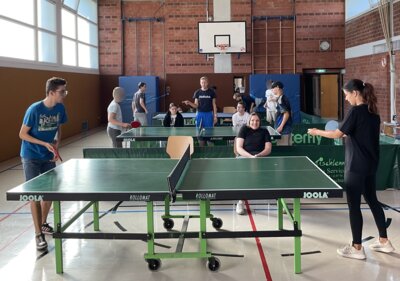 Tischtennis-Schulmeisterschaften