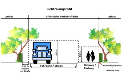 🌿 Überhang von Ästen und Sträuchern auf öffentliche Flächen