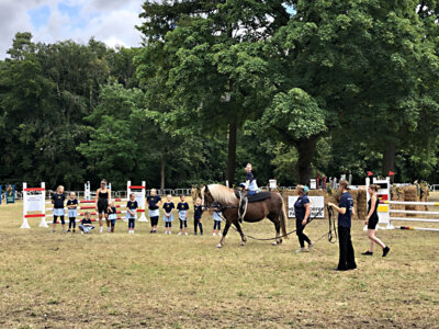 Parkturnier Heinersdorf 2025