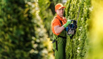 Foto: iStock/GettyImages (Bild vergr&ouml;&szlig;ern)