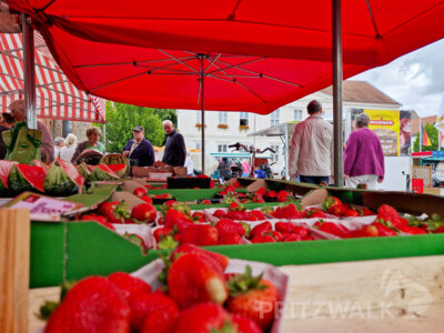 Beeren aller Art, aber auch exotische Früchte waren beim PriMa-Treff Beerenmarkt am Mittwoch auf dem Pritzwalker Wochenmarkt zu haben. Foto: Stadt Pritzwalk (Bild vergr&ouml;&szlig;ern)