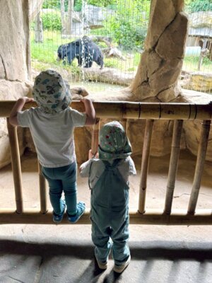 Meldung: Wir fahren in den Zoo!