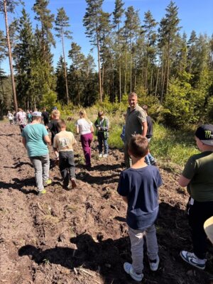 Meldung: Wildäsungsfläche im Kahlaer Stadtwald geschaffen