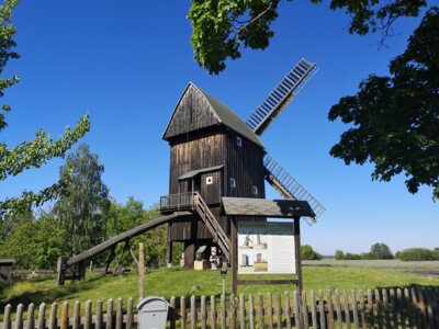 Planebruch ist „Landmusikort des Jahres 2025“