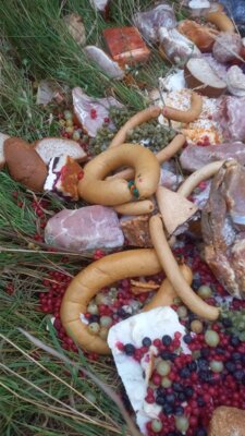 Fleischabfälle und weitere Lebensmittelreste, Foto: privat