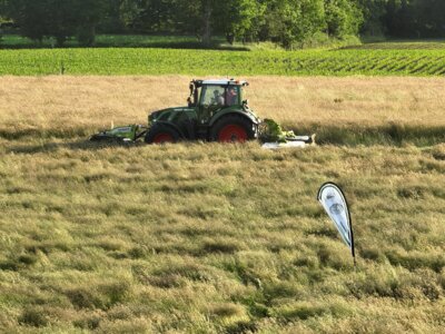 Sehr zufriedenstellende Suche mit neuer Drohne