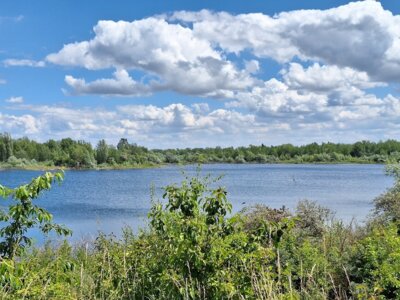 Naturschutzgebiet Werbeliner See, LPV Nordwestsachsen (Bild vergrößern)