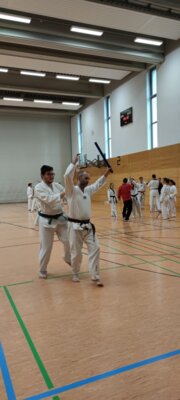 Lehrgang bei Siegfried Lory in Kressbronn (Bild vergr&ouml;&szlig;ern)