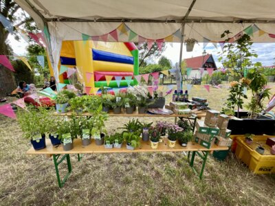 Gewinne beim Fest 650 Jahre Priort