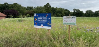 1,85 ha Blühwiesen