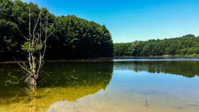 Meldung: Baggersee - Tonabbau Ruhner Berge