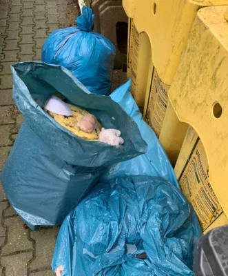 Meldung: Alle Jahre wieder - wilde Müllablagerungen im Ortsgebiet