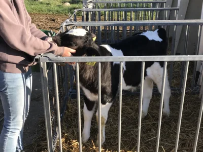 Kuscheln gehört bei Betriebsbesichtigungen dazu (Bild vergr&ouml;&szlig;ern)