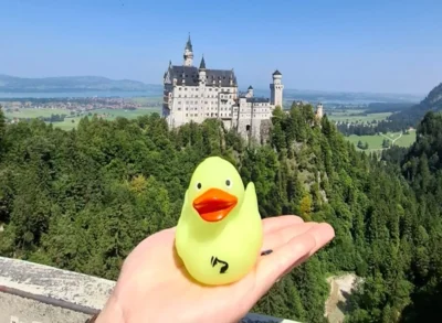 Die Ente auf der Marienbrücke mit dem zauberhaften Schloss Neuschanstein im Hintergrund. Eine Einsendung von Kathleen Weber. (Bild vergr&ouml;&szlig;ern)