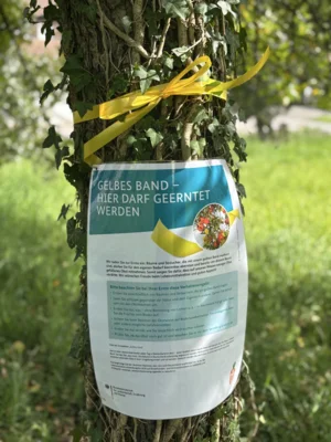 Meldung: &#xD83CDF4F Obst zum Mitnehmen? Einfach gelbes Band beachten!