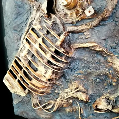 Ein „Fossil unserer Zeit“ aus Alltagsgegenständen – Mister Tad lädt mit seinen Arbeiten dazu ein, über den Blick künftiger Generationen auf unsere Zivilisation nachzudenken. Foto: Thorsten Diehl