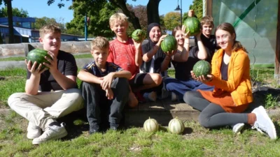 Melonen-Ernte (Bild vergr&ouml;&szlig;ern)