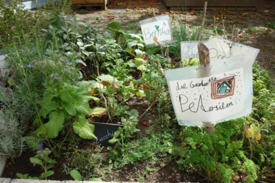Neues aus der Garten-AG (Bild vergr&ouml;&szlig;ern)