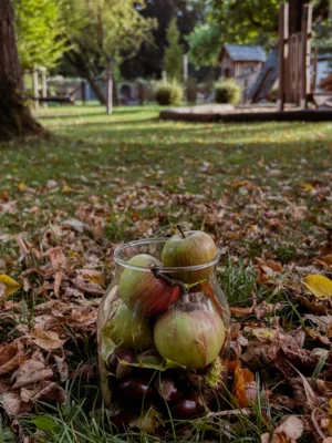 Meldung: Hurra, der Herbst ist da im Huschelnest!