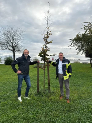24 neue Bäume für die Samtgemeinde Lühe - Gemeinsame Baumpflanzaktion von TreesForBees und LINDEMANN Gruppe (Bild vergr&ouml;&szlig;ern)